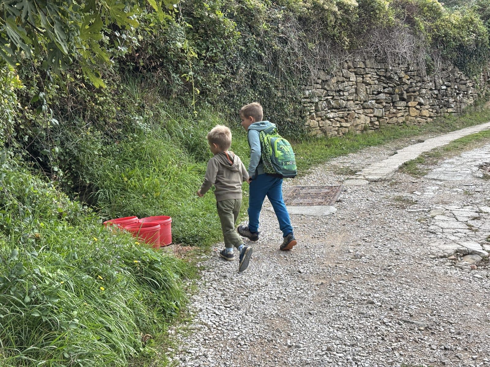Two brothers walking along an old lane by a dry stone wall